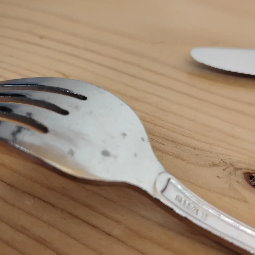 Wallace Brand Ware Korea‎  Coral Shell Pattern Stainless Flatware Fork & Knife